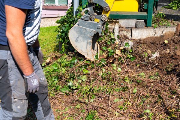 Hedge Removal Service in San Luis Obispo
