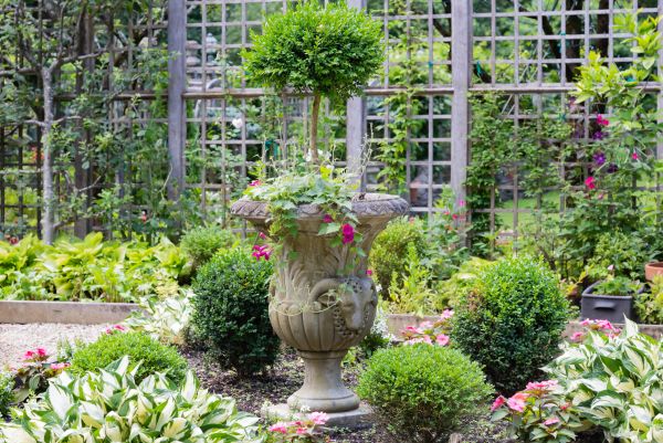 Topiary Pruning in San Luis Obispo