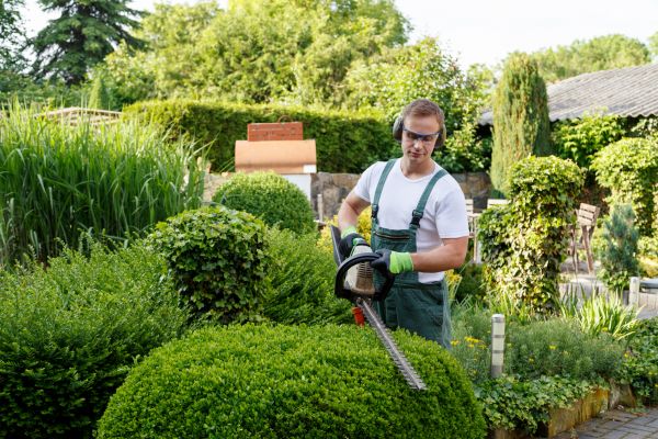Shrubs Trimming in San Luis Obispo
