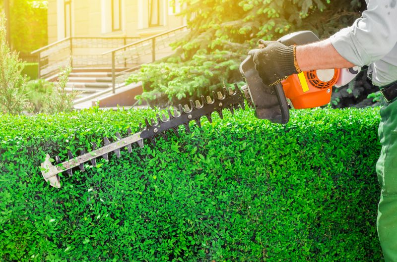 Hedge Trimming detail