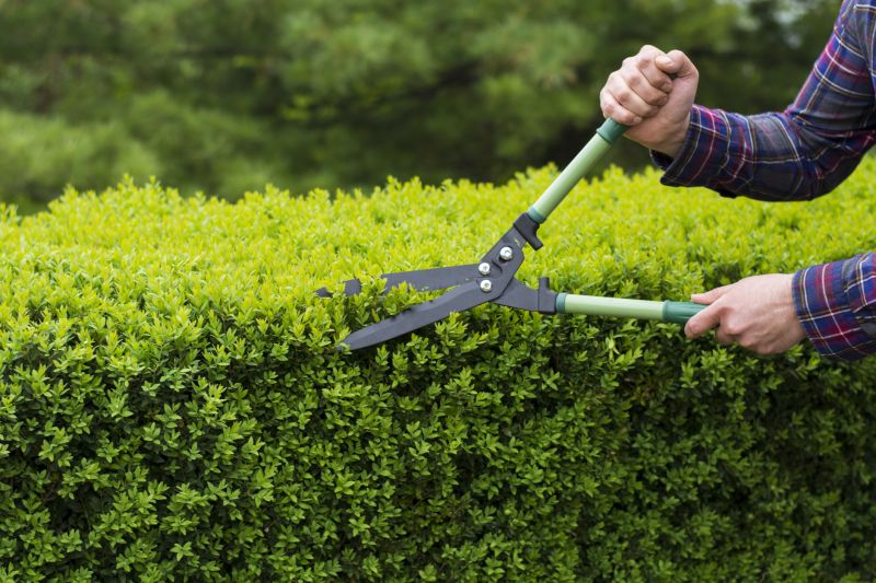Tools for Shrub Maintenance