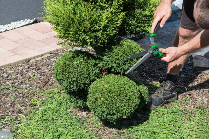 Garden Care in San Luis Obispo
